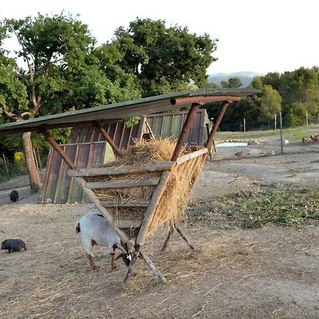 Il Poggio Apartman *