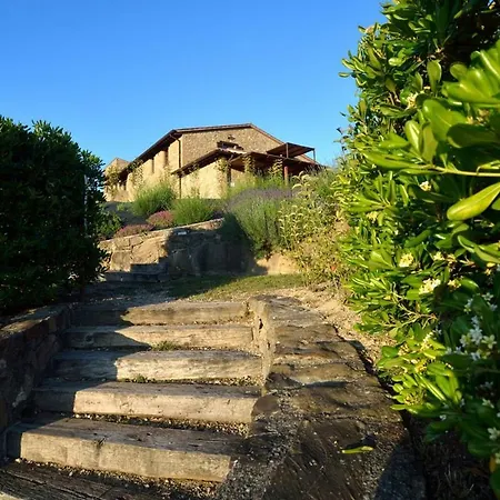Il Poggio Daire *